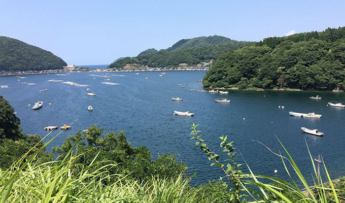 福井県日向の「甘鯛」